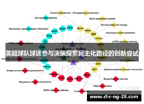 英超球队球迷参与决策探索民主化路径的创新尝试