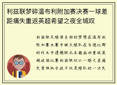 利兹联梦碎温布利附加赛决赛一球差距痛失重返英超希望之夜全城叹